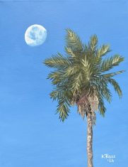 A Tucson Summer Morning 01-26