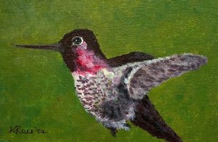 Anna's Hummingbird 05-22