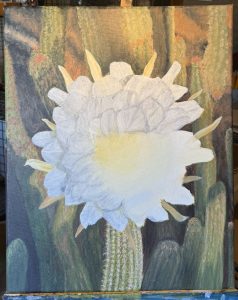 Cereus impression 6