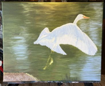 Egret 4
