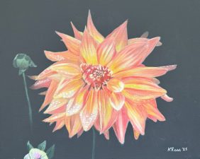 Gold Dahlia 07-25