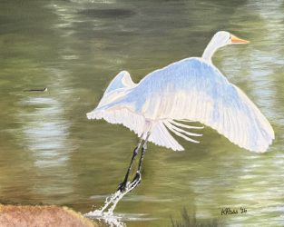 Great Egret 05-26
