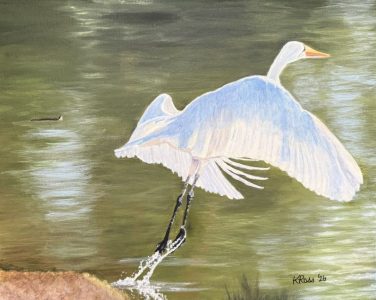 Great Egret 05-26