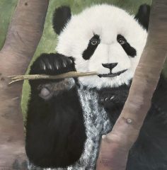 Panda final 02-24