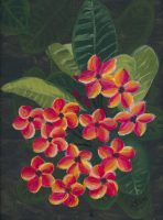 Plumeria - October 2014