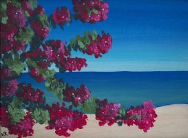 Seaside Bougainvillea 2014